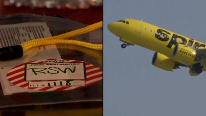 Close up of child's travel sticker / Airplane taking off