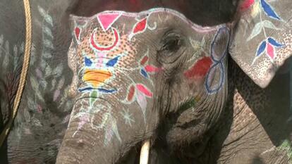 “Chitwan Elephant Festival in Nepal”
