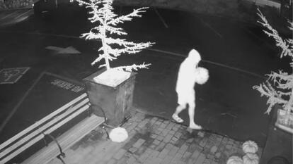 Alleged robber stealing things from plant store