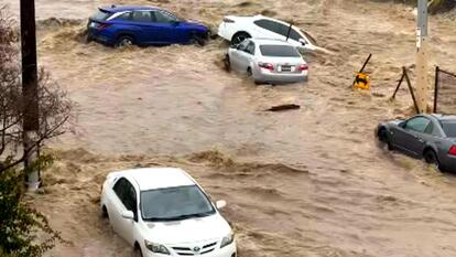 Cars in flood