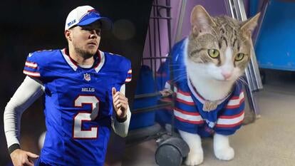 Buffalo Bills kicker Tyler Bass/ Sheltered cat
