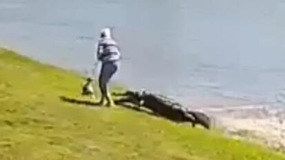 The family of 85-year-old Gloria Serge is suing after she was killed by an alligator in Florida.