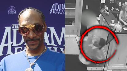 Bobblehead of Snoop Dogg stolen from restaurant in Florida