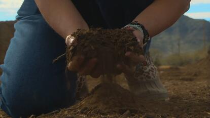 Hands holding soil