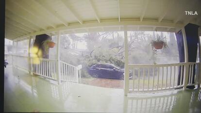 Strong Winds Cause Trees to Crash Down in Storm