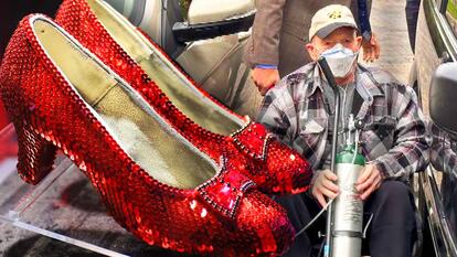  ‘Wizard of Oz’ Slippers