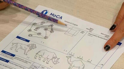 Close-up of test being pointed at with a pencil.