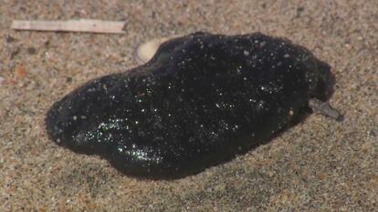 The U.S. Coast Guard says blobs of tar may be the result of an oil spill off the coast of Huntington Beach, California.