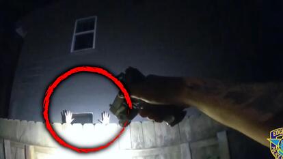 Hand up behind fence