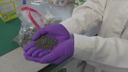 Scientists Use Bubble Gum to Cut Waste From Health Tests