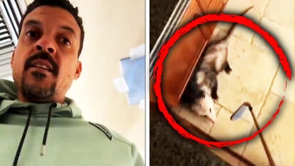 Matt Barnes / Possum