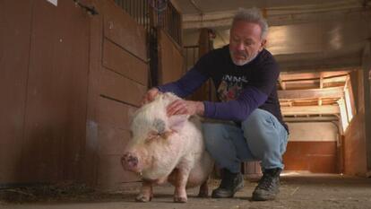 Doug Willen and a pig
