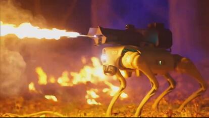 Would You Buy This Flamethrowing Robot Dog? 