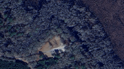 South Carolina Mystery Woman