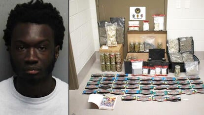  Julius C. Semple-Dormer