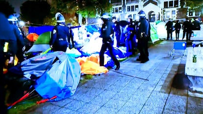 NYPD aggressively takes down the student encampment at Columbia University 