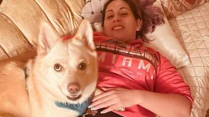 Dog Killed by Stray Bullet Allegedly Fired by Teen