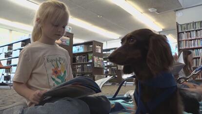 Girl reading to therapy dog