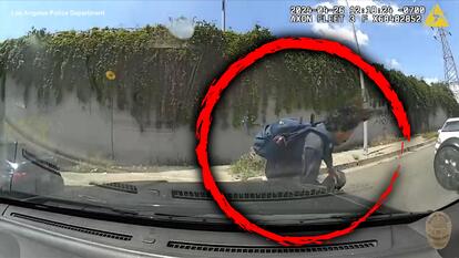 An attempted murder suspect led officers from the Los Angeles Police Department on a freeway bicycle chase.