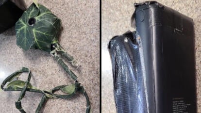 Camera Covered in Fake Leaves Found in Homeowner’s Yard