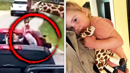 Little girl picked up by giraffe
