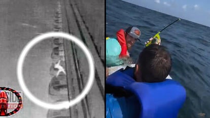 People Who Survived Water Rescues