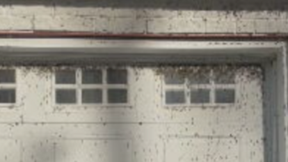 garage door covered with bugs