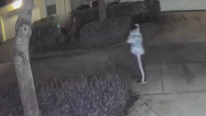 Florida 13-Year-Old Arrested for Attempted Kidnappings: Cops