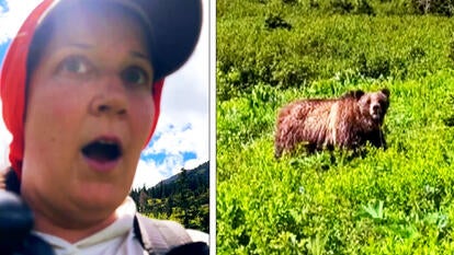 Amanda Wylie encounters a wild bear