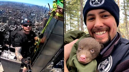 Yes, These Are Actual Jobs