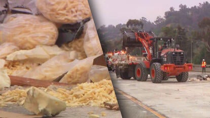 French fries spilled during a truck accident shut down a California freeway.
