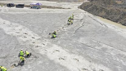 Paleontologists are calling the Dewars Farm Quarry, in Oxfordshire, England, a "Dinosaur Highway" because of 200 sets of footprints from the Middle Jurassic period.