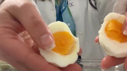 Food Scientists Say This Is How to Perfectly Boil Eggs 