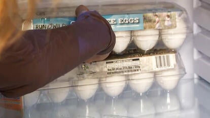 Eggs being stored in the fridge