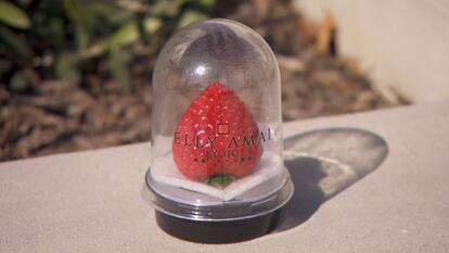 Strawberry from Kyoto, Japan