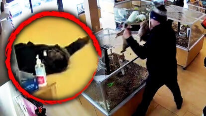 Thieves Fake Seizure to Steal Puppies