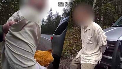 Man holding brown chicken / Man handcuffed leaning against a police car