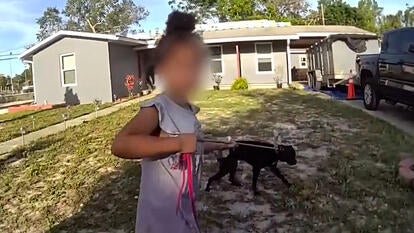 Little girl walking a dog on a leash. Credit: Volusia Sheriff's Office