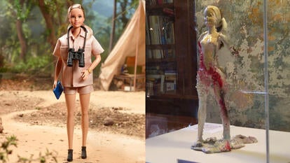 Jane Goodall Barbie Doll, Artist's rendition of a Barbie Doll