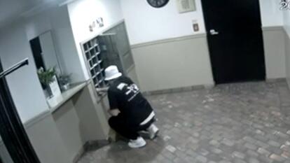 Suspected Mail Thief