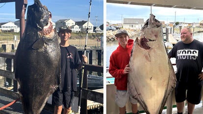 13-Year-Old Reels in 177 Pound Halibut