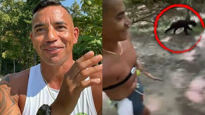 Caleb McCoy, McCoy and the bear