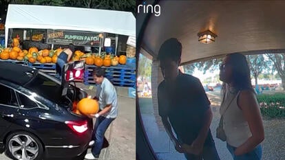 split screen image of nighttime pumpkin theft from surveillance footage/day time doorbell camera of two people at door
