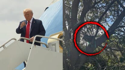 Donald Trump, possible sniper nest in trees