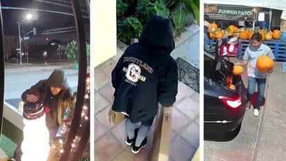 These robbery suspects returned stolen goods.