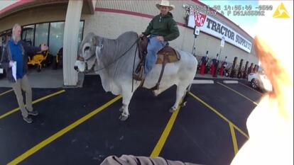Man Riding Bull In Parking Lot