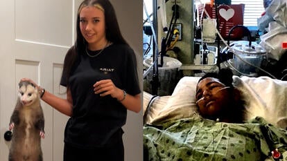 Teen holding an opossum, teen in hospital bed after saving friends from shooter