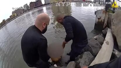 NYPD Rescues Teen From Harlem River