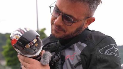 Man holding cat wearing a bike helmet