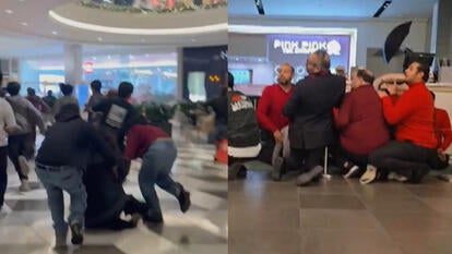 Shoppers fleeing and ducking in a San Jose, CA mall